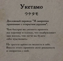 52162.webp