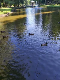 20260625_175254.webp