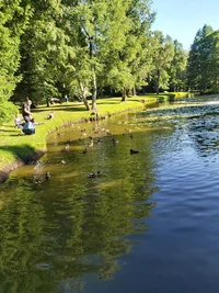 20260625_175642.webp