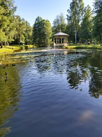 20260625_175647.webp