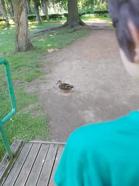 20260625_175656.webp