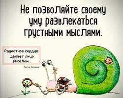 db33f0d4cb3ad28bb3896a2384411527.webp