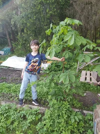 20250607_162217.webp