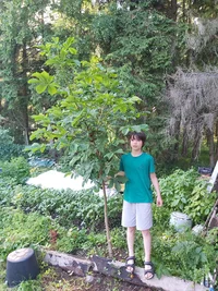 20260627_175231.webp