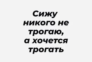 52277.webp 52277.webp