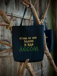 52273.webp