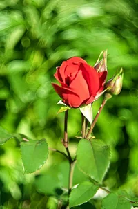 _DSC8839.webp