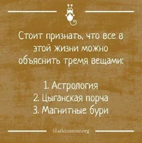52286.webp 52286.webp