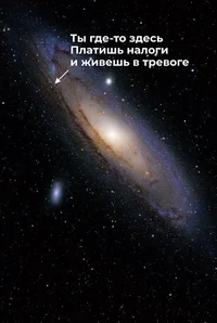 52291.webp