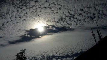 063.webp