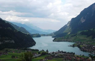 162.webp
