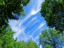 524.webp