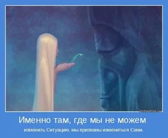 52304.webp