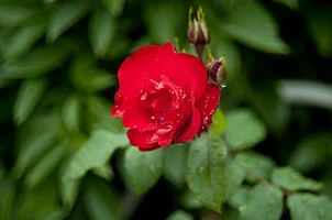 _DSC8846.webp
