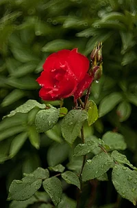 _DSC8848.webp