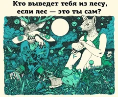 52391.webp