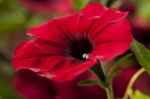 _DSC8865.webp