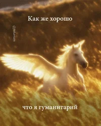 52394.webp 52394.webp