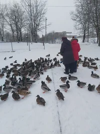 20220123_145803.webp