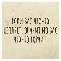 52474.webp
