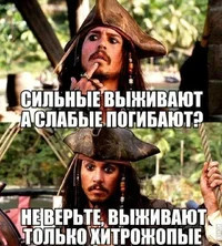 хитр.webp