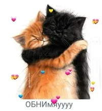 4aac09ec3929485bd22e1464cfc2576c.webp