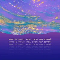 52292.webp