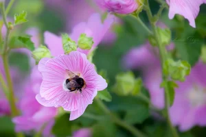 IMG_2921-Edit.webp IMG_2921-Edit.webp