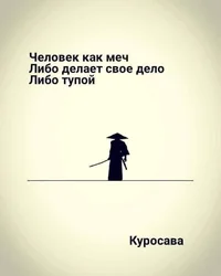 52733.webp