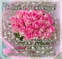 степл.webp степл.webp
