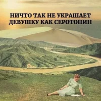 52873.webp