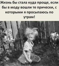 52874.webp
