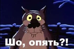 шо опять.webp