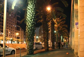 07.webp