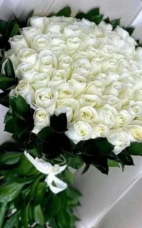 05fe2dd9b69195ae22e25f2ff0642eba.webp 05fe2dd9b69195ae22e25f2ff0642eba.webp