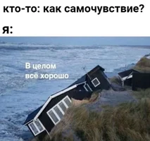 53031.webp
