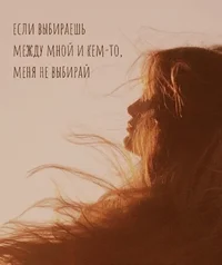 53052.webp
