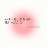 53095.webp