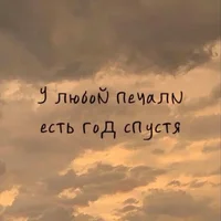 53122.webp