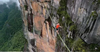 high7.webp