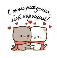 53132.webp 53132.webp
