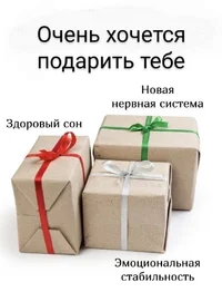53131.webp 53131.webp