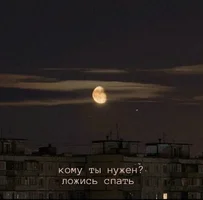 53148.webp