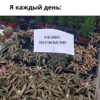 53215.webp