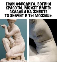 53214.webp