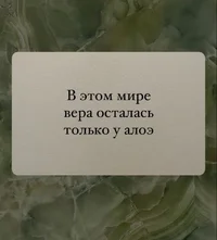 53202.webp