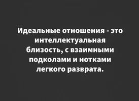 53228.webp