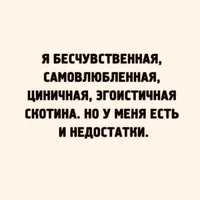 53232.webp