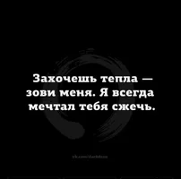 53233.webp 53233.webp