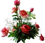 76729784.webp 76729784.webp